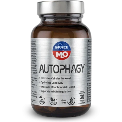 Autophagy - Zdravie pečene Autophagy - Zdravie pečene