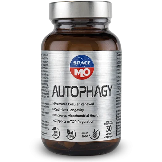 Autophagy - Zdravie pečene Autophagy - Zdravie pečene